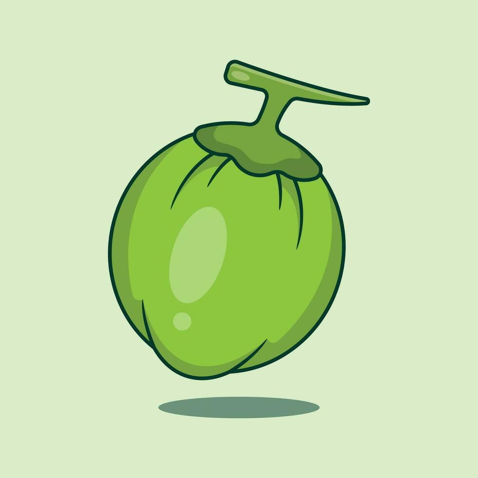 Coconut cartoon vector illustration.