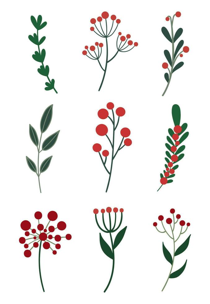 Evergreens with red berries. Winter floral set. vector
