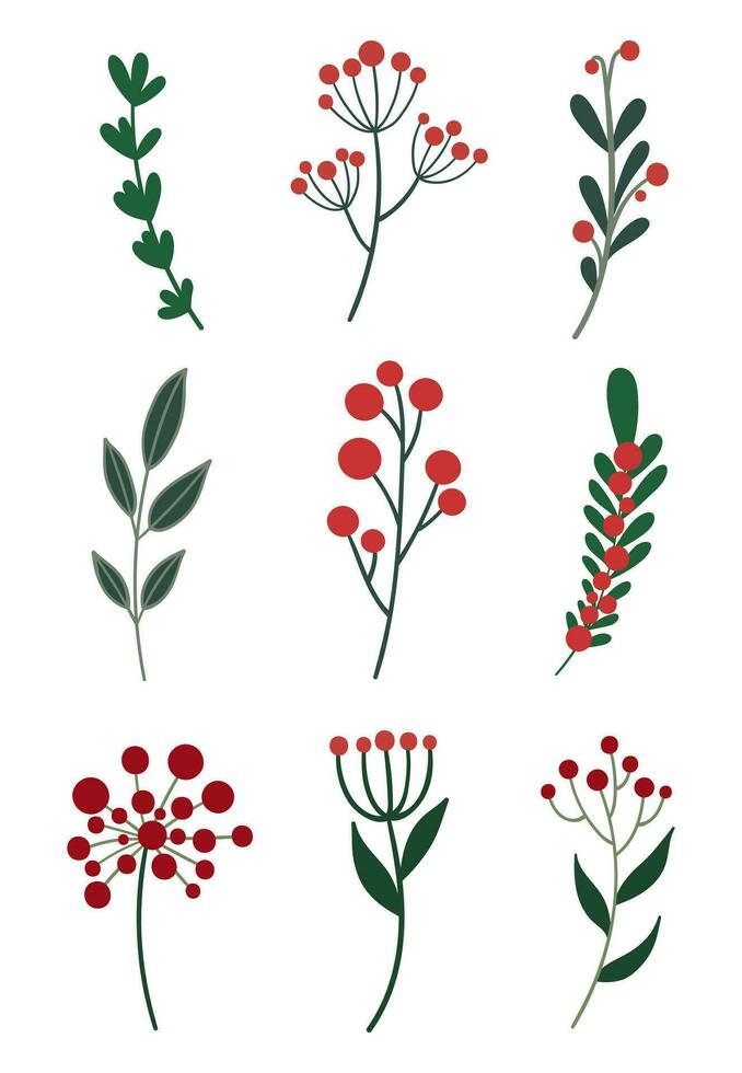 árboles de hoja perenne con rojo bayas. invierno floral colocar. vector