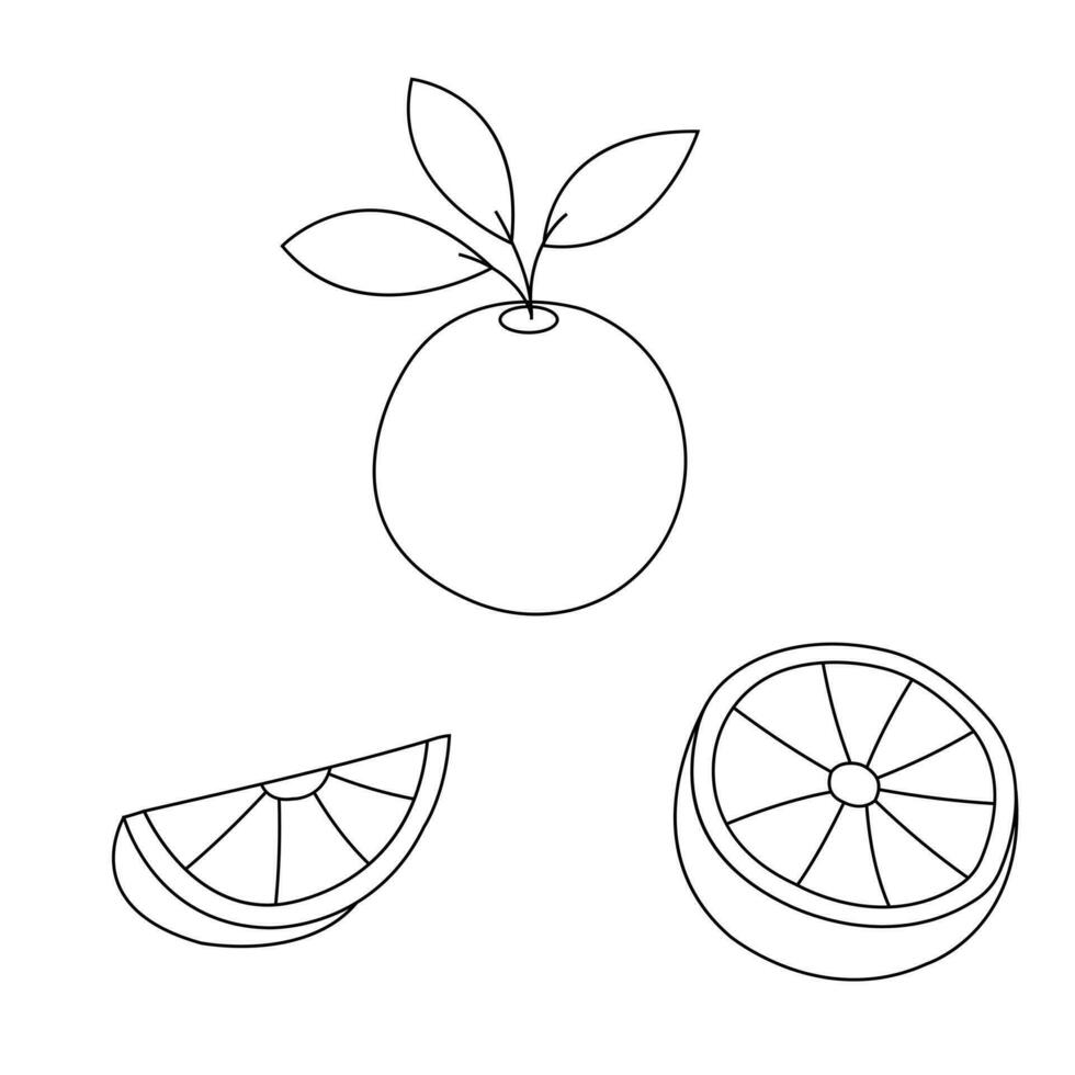Icons set of orange slice half. Icons of orange slice half on white background. Vector illustration.