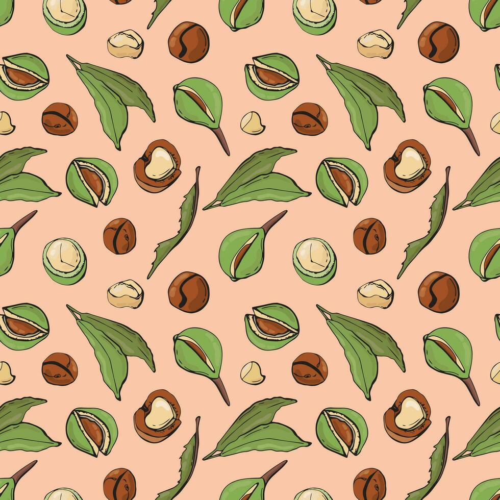 Seamless pattern with macadamia nuts. Design for fabric, textile, wallpaper, packaging. vector