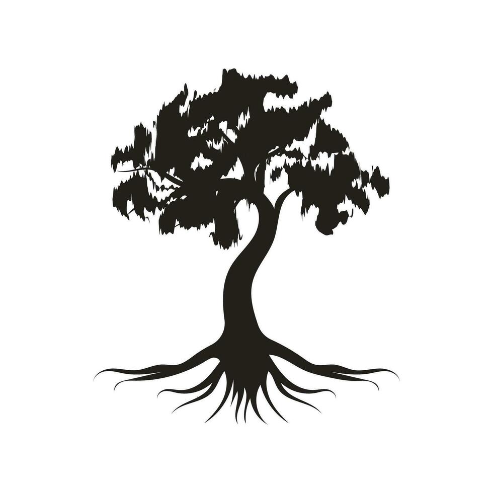 raíz hoja familia árbol de vida roble secretario arce sello sello emblema etiqueta logo vector