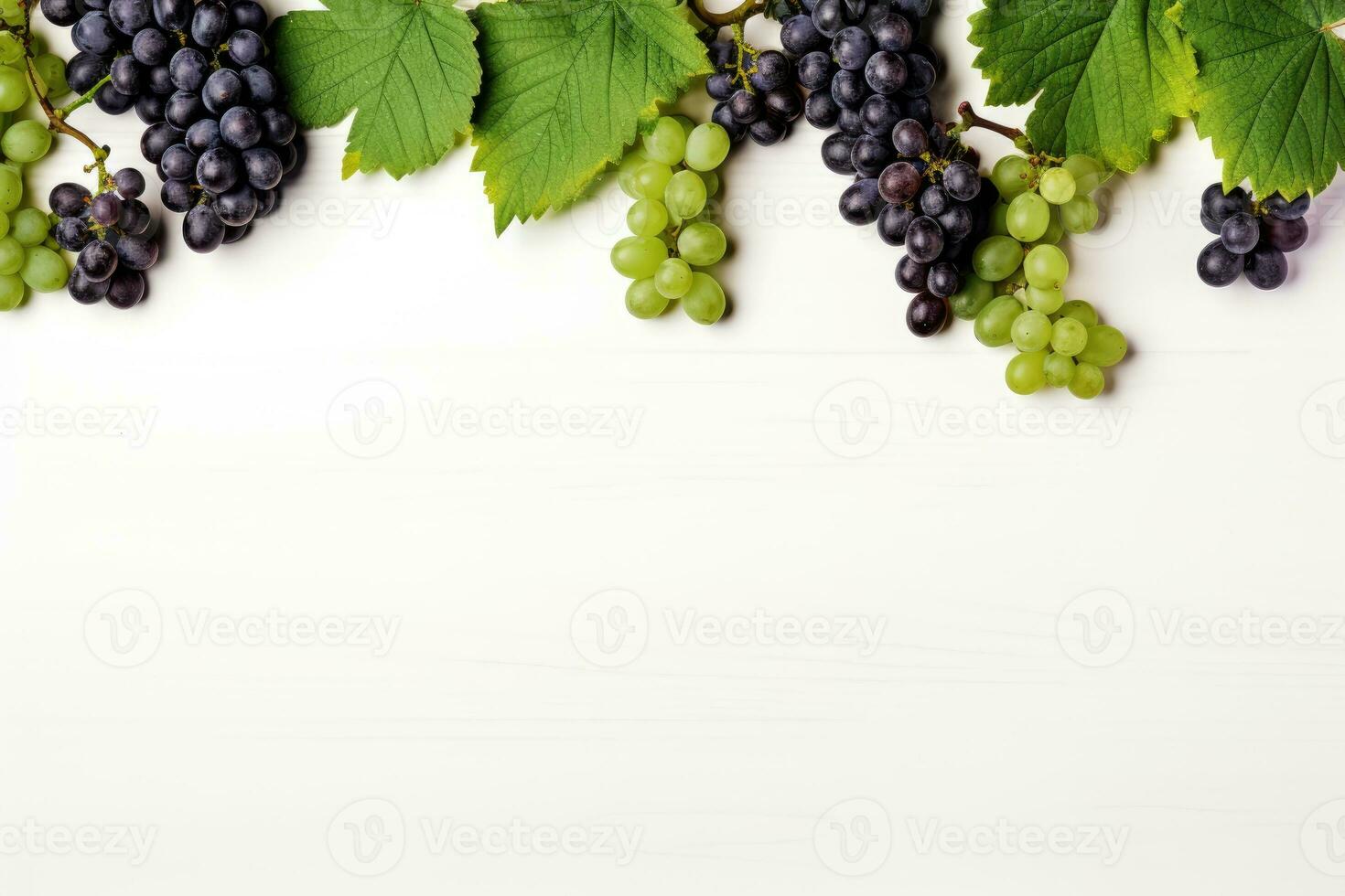 Black juicy grapes on white background. Autumn frame made of grapes. photo