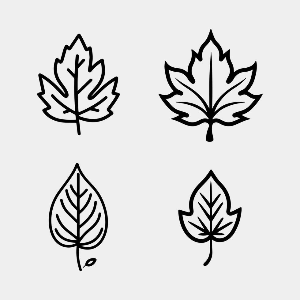 set of leaves icons. vector illustration of leaves icon.