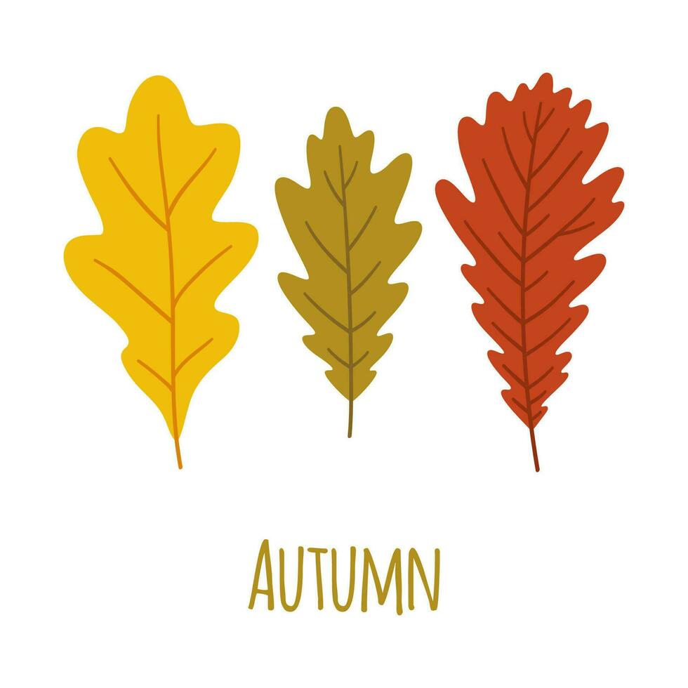 otoño follaje de roble en amarillo, verde, rojo colores. vector