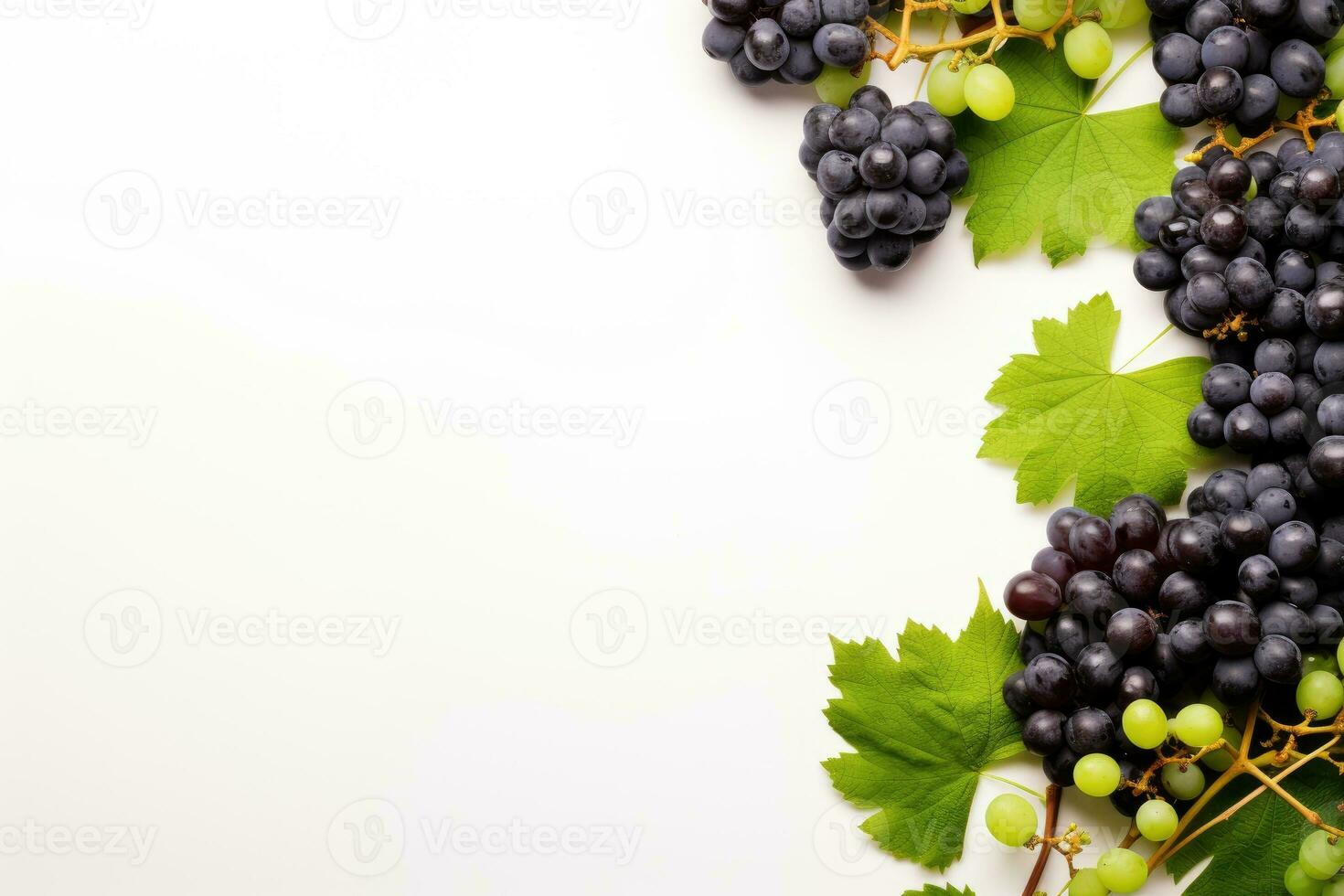 Black juicy grapes on white background. Autumn frame made of grapes. photo