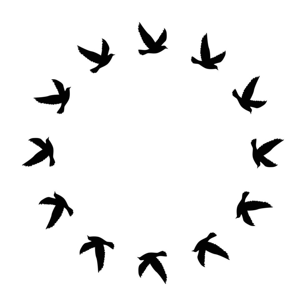 Fondo de pantalla de patrón de siluetas de pájaros voladores. ilustración vectorial. vuelo de pájaro aislado. diseño de tatuaje. plantilla para tarjeta, paquete y papel tapiz. vector