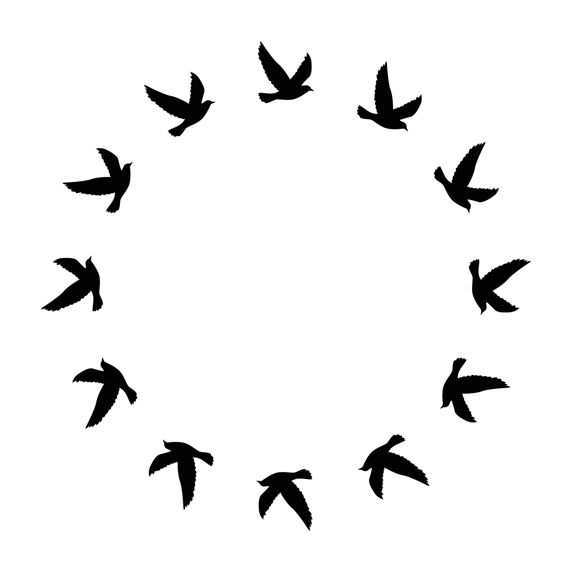 Flying birds silhouettes pattern wallpaper. Vector illustration. isolated bird flying. tattoo