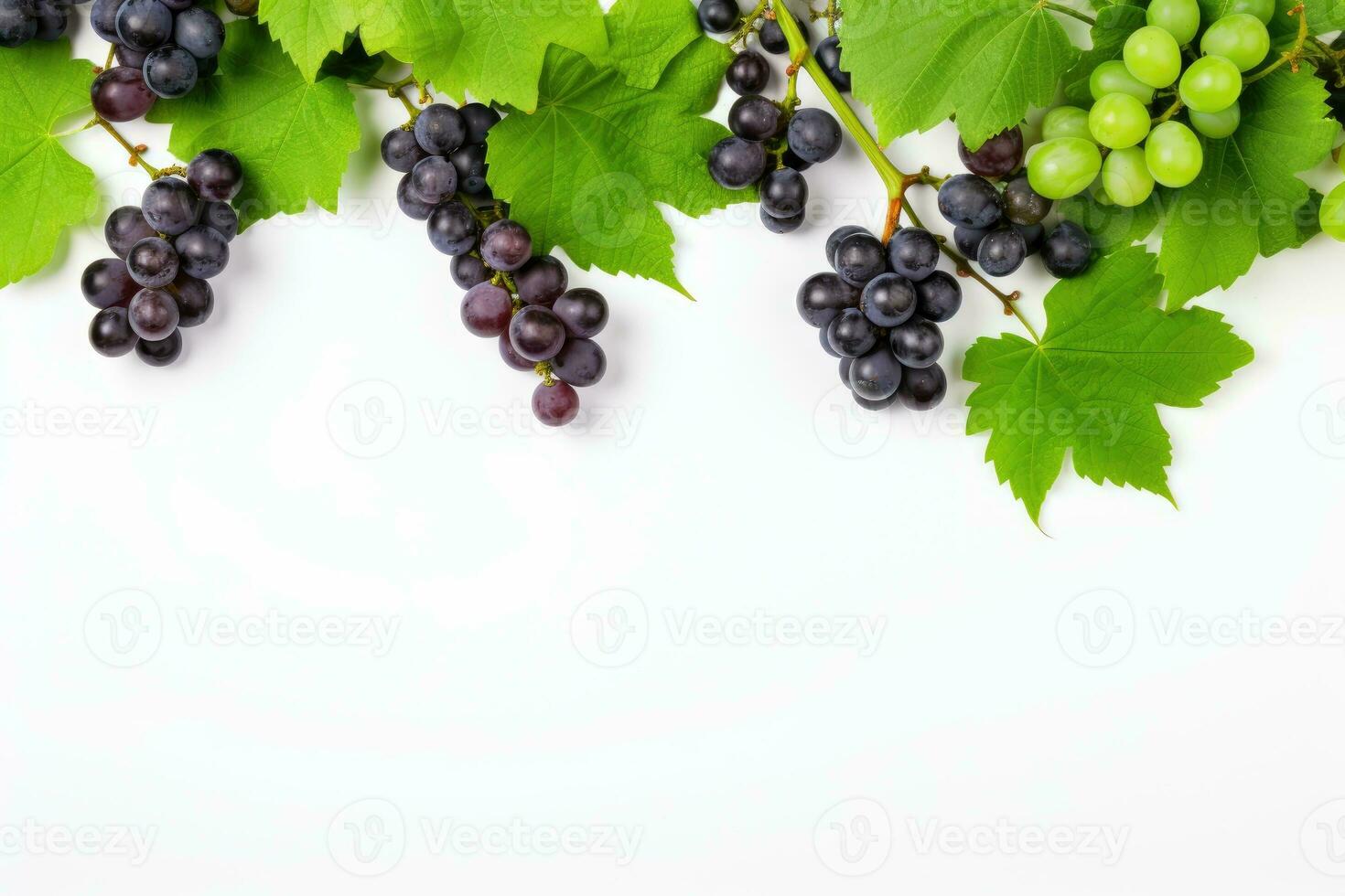 Black juicy grapes on white background. Autumn frame made of grapes. photo