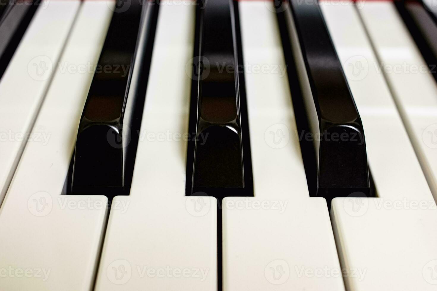 piano teclado blanco y negro llaves cerca arriba frente ver foto