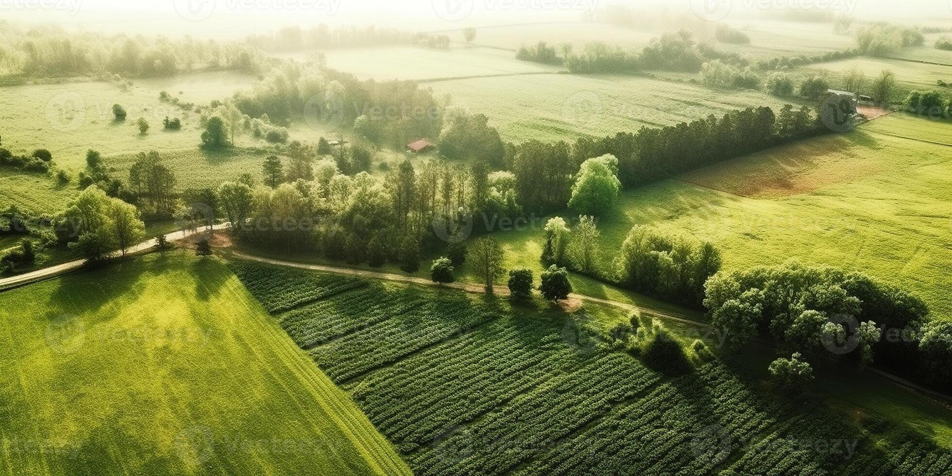 Generative AI, Farm landscape, agricultural fields, beautiful countryside, country road. Nature Illustration, photorealistic top view drone, horizontal banner. photo