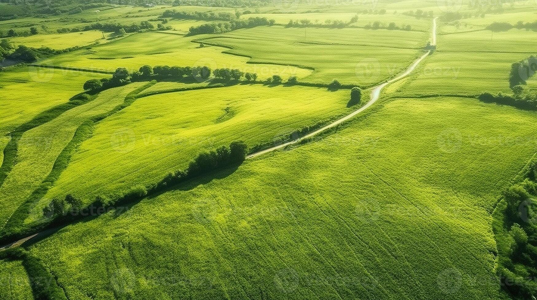 generativo ai, granja paisaje, agrícola campos, hermosa campo, país la carretera. naturaleza ilustración, fotorrealista parte superior ver zumbido, horizontal bandera. foto