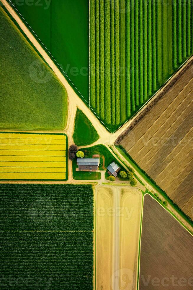 Generative AI, Farm landscape, agricultural fields, beautiful countryside, country road. Nature Illustration, photorealistic top view drone, vertical format photo