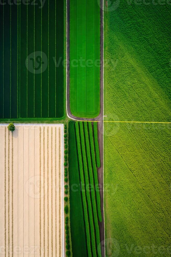 generativo ai, granja paisaje, agrícola campos, hermosa campo, país la carretera. naturaleza ilustración, fotorrealista parte superior ver zumbido, vertical formato foto