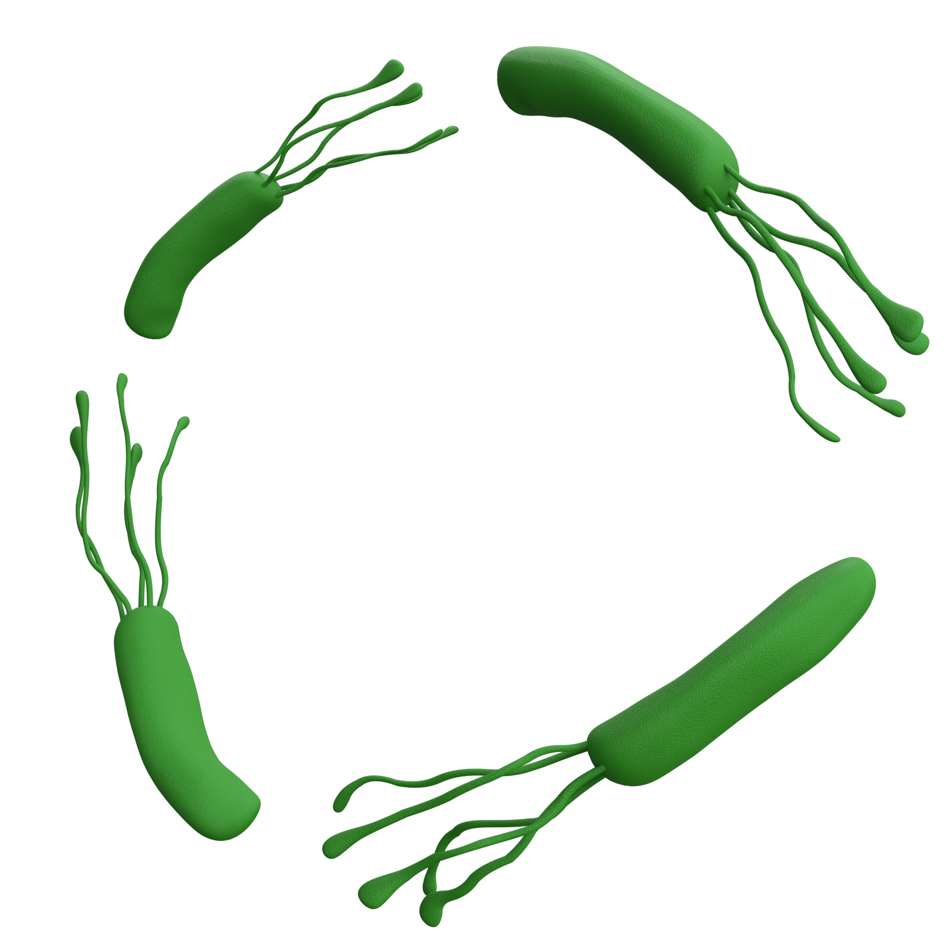 Helicobacter pylori bacteria frame 3d render with place for text