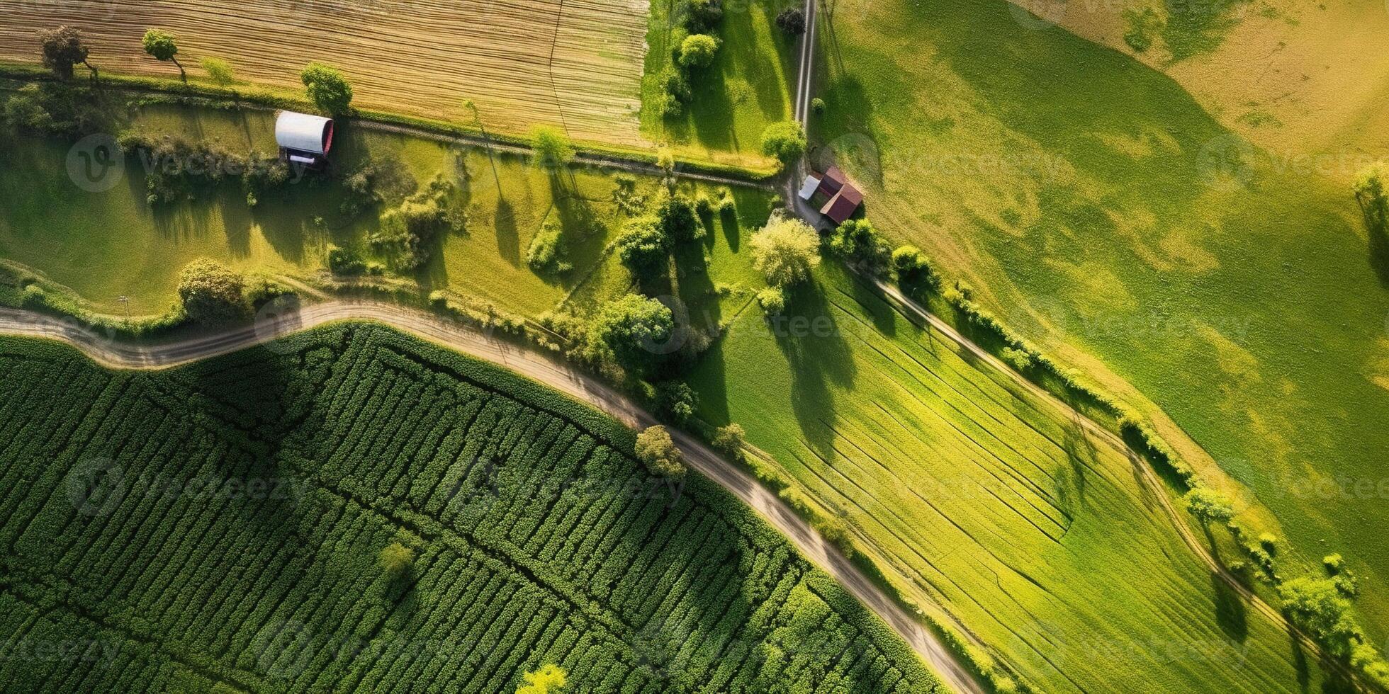 , Farm landscape, agricultural fields, beautiful countryside, country road. Nature Illustration, photorealistic top view drone, horizontal banner. photo