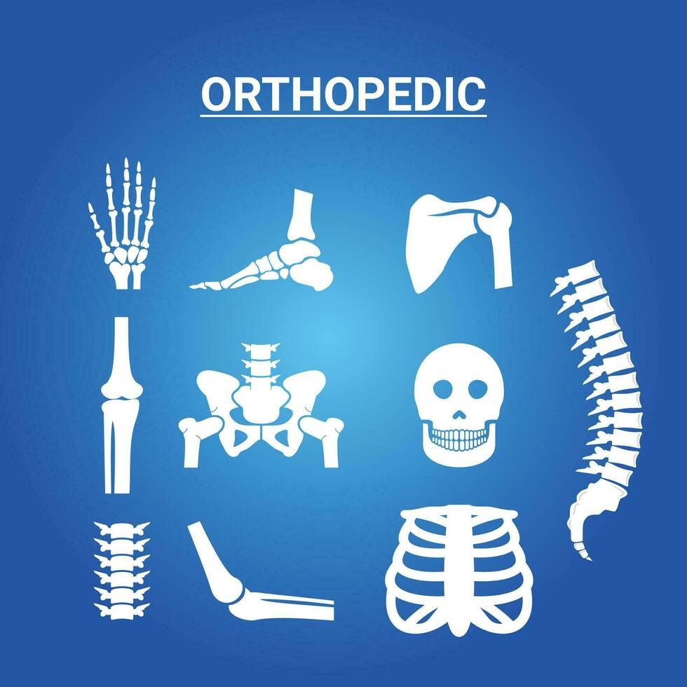 Human joints vector set. Orthopedic and spine symbols