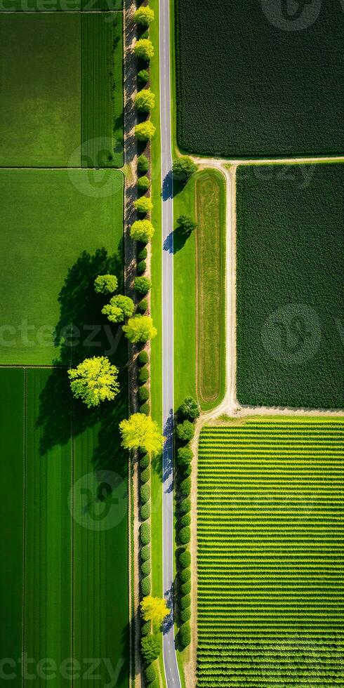 generativo ai, granja paisaje, agrícola campos, hermosa campo, país la carretera. naturaleza ilustración, fotorrealista parte superior ver zumbido, vertical formato foto