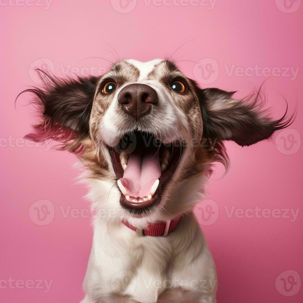 Generative AI, Portrait of a happy dog looking at the camera with mouth open on pink background photo