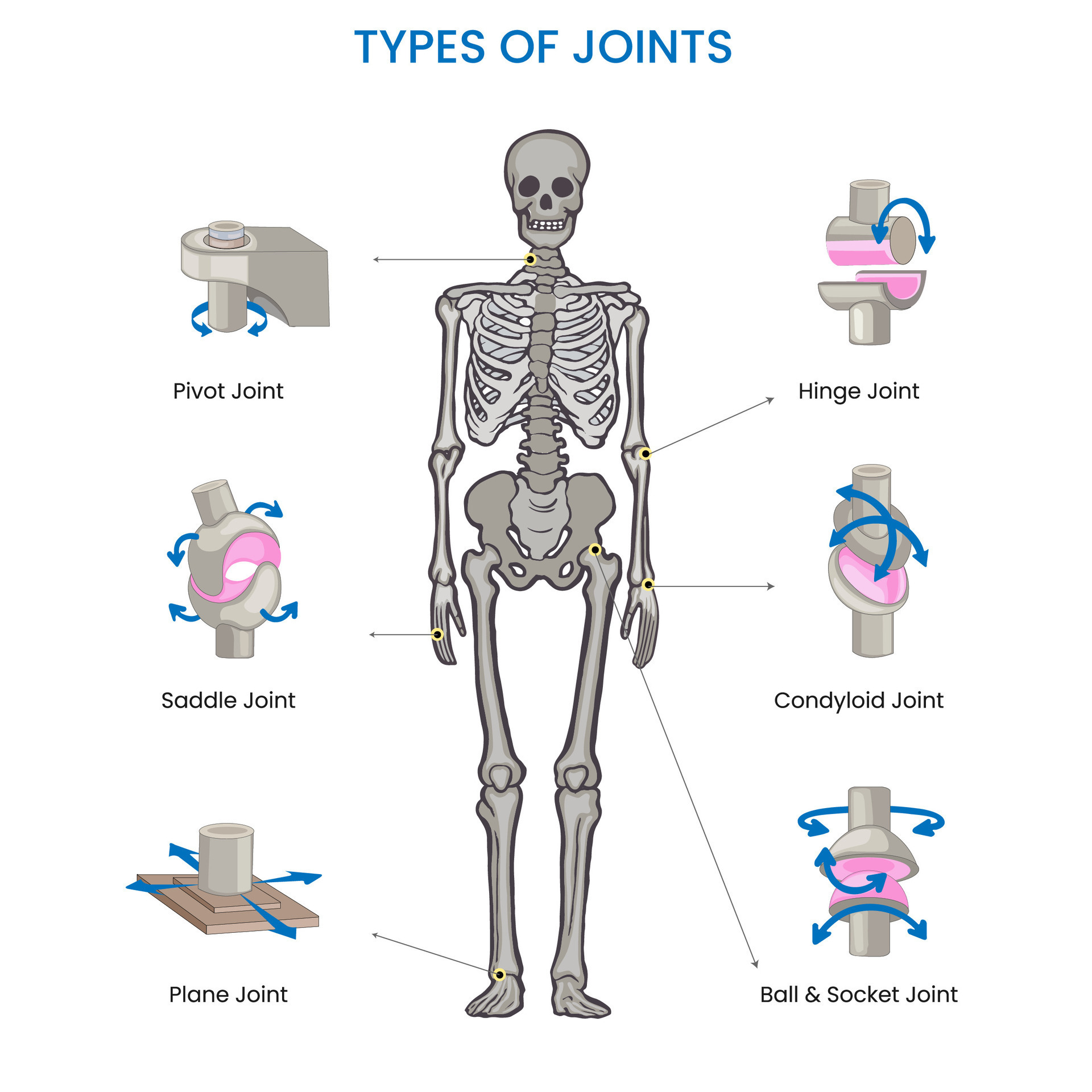 Tarantula Honing Joint  Cannabis Forum