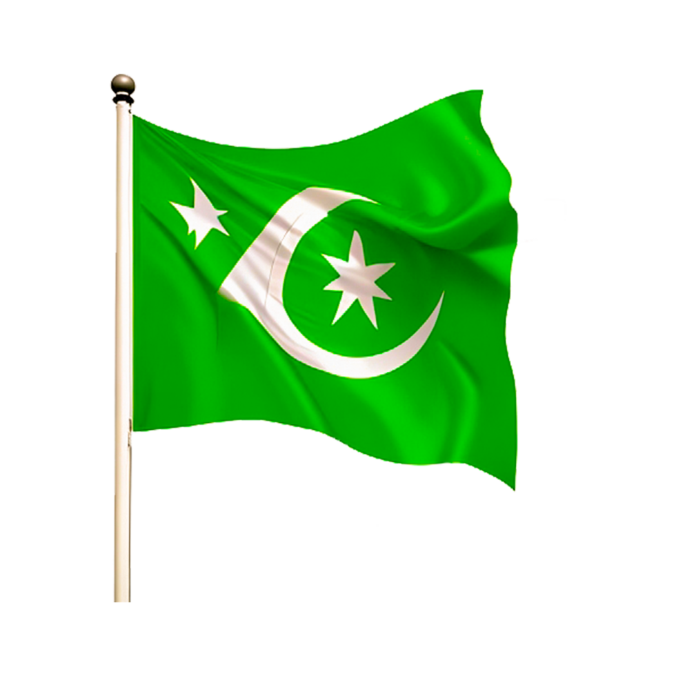 Kingdom of Egypt Flag Waving png
