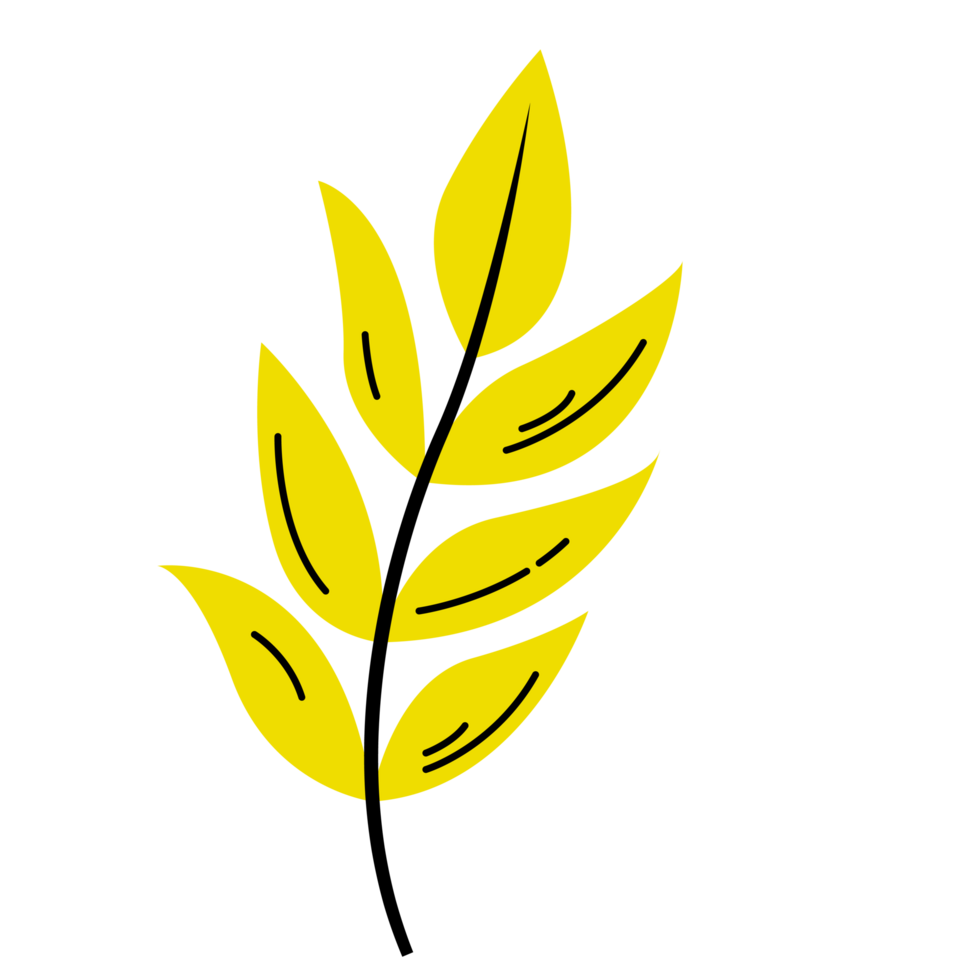 Yellow Autumn Leaf, Single Leaf png
