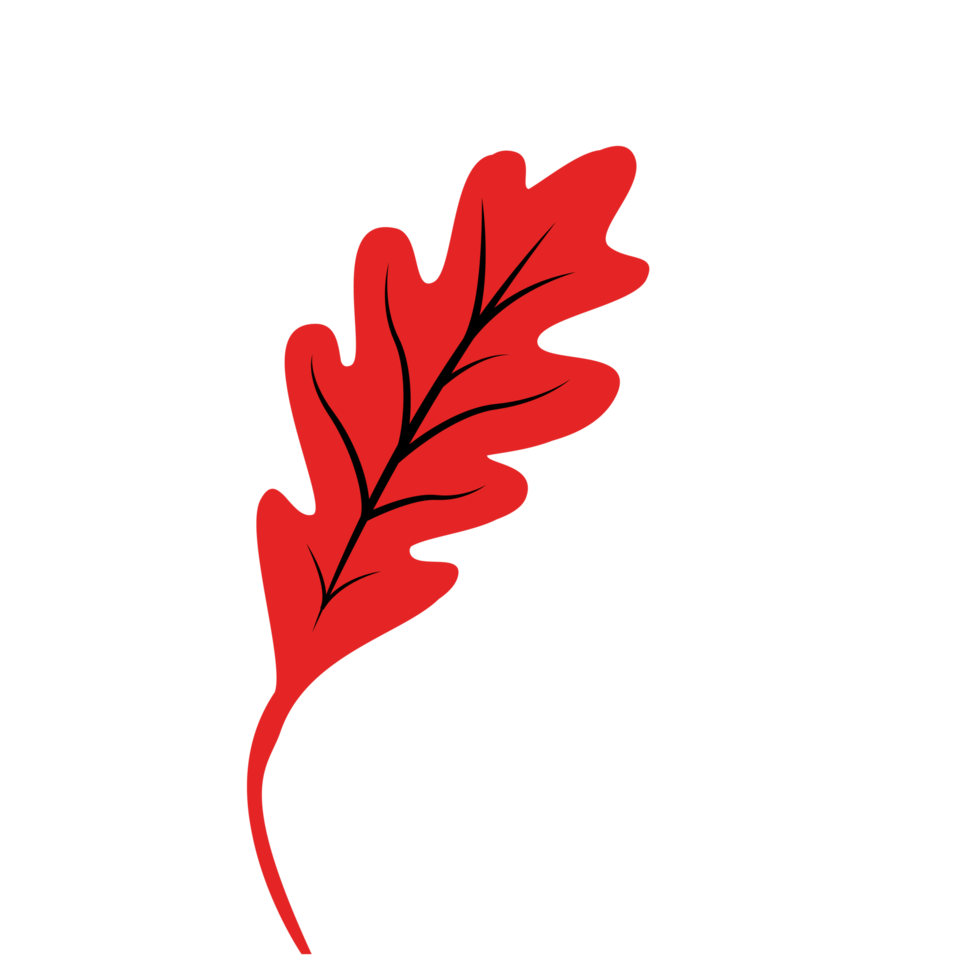 autumn-red-single-leaf-fall-leaf-26790684-png