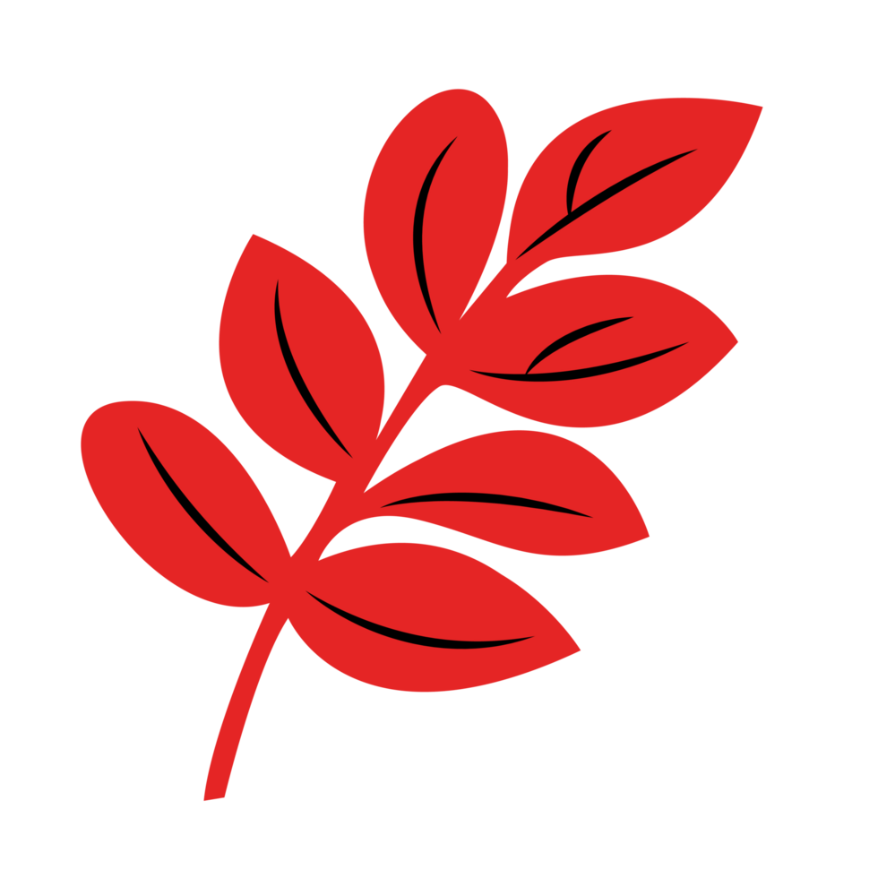 Autumn Red Single Leaf, Fall Leaf png