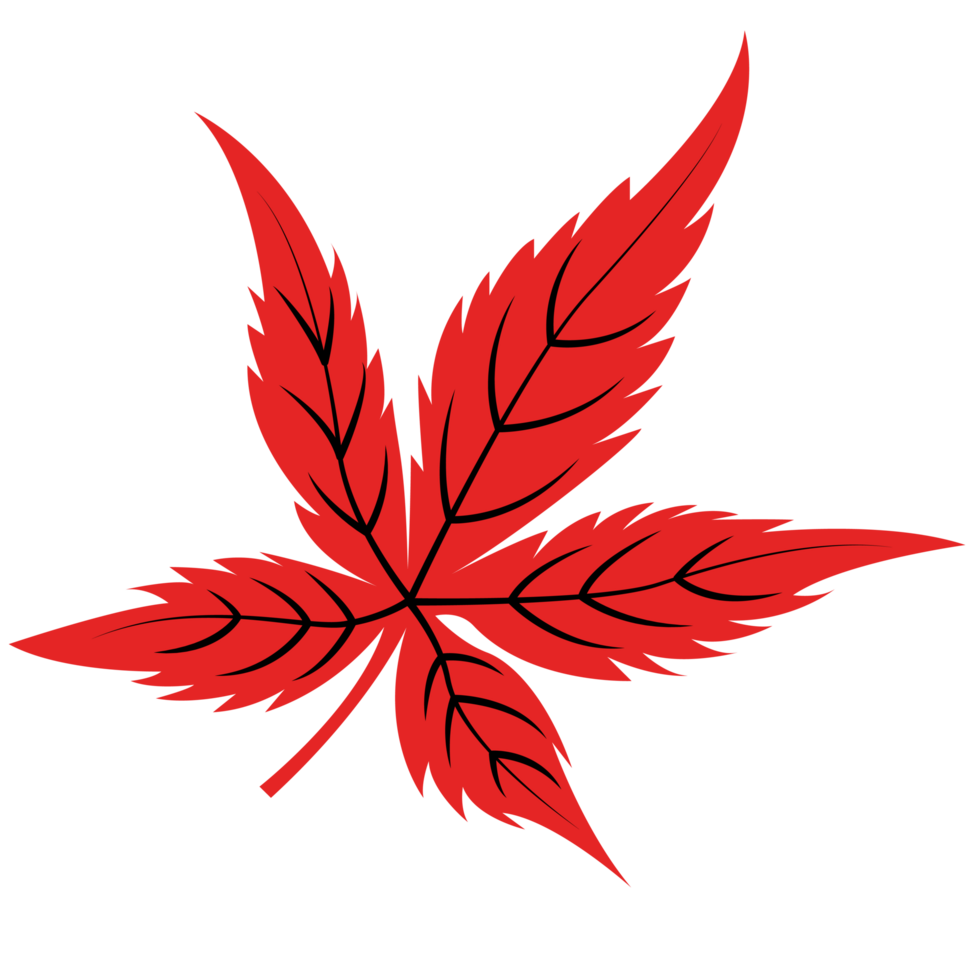 Autumn Red Single Leaf, Fall Leaf, Maple Leaf png