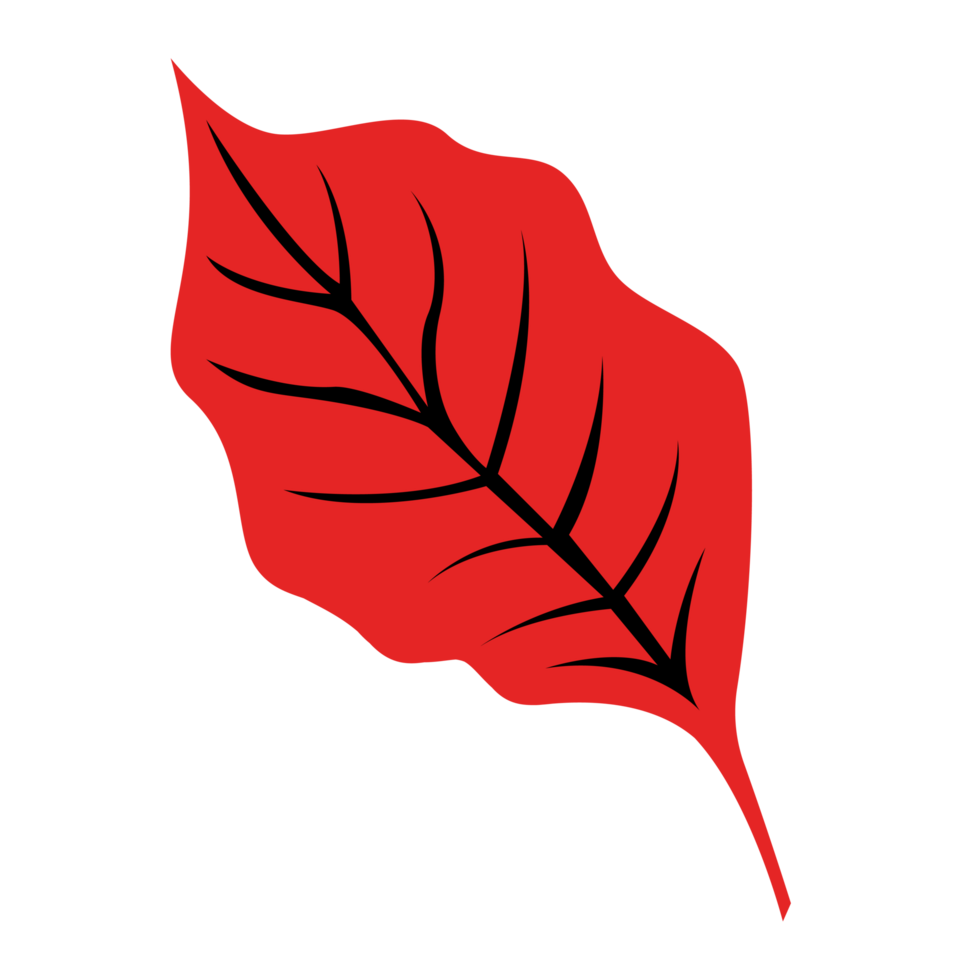 autumn-red-single-leaf-fall-leaf-26790700-png