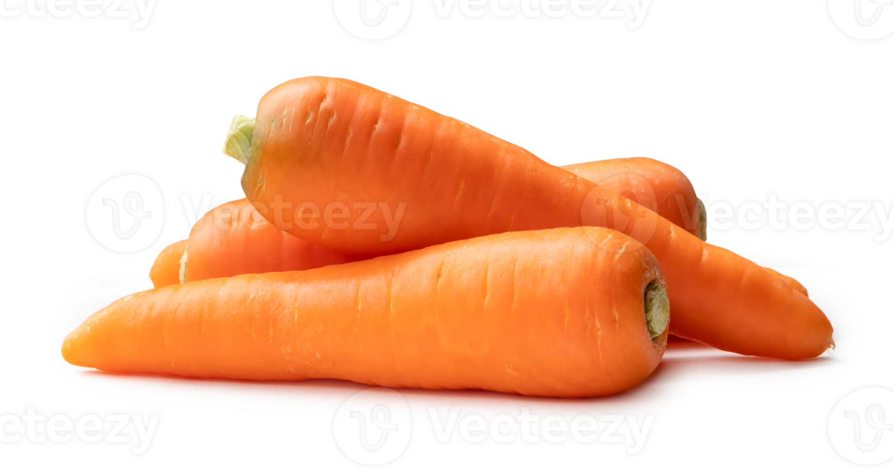 Fresh orange carrots in stack isolated with clipping path and shadow in png file format, Close up of healthy vegetable root