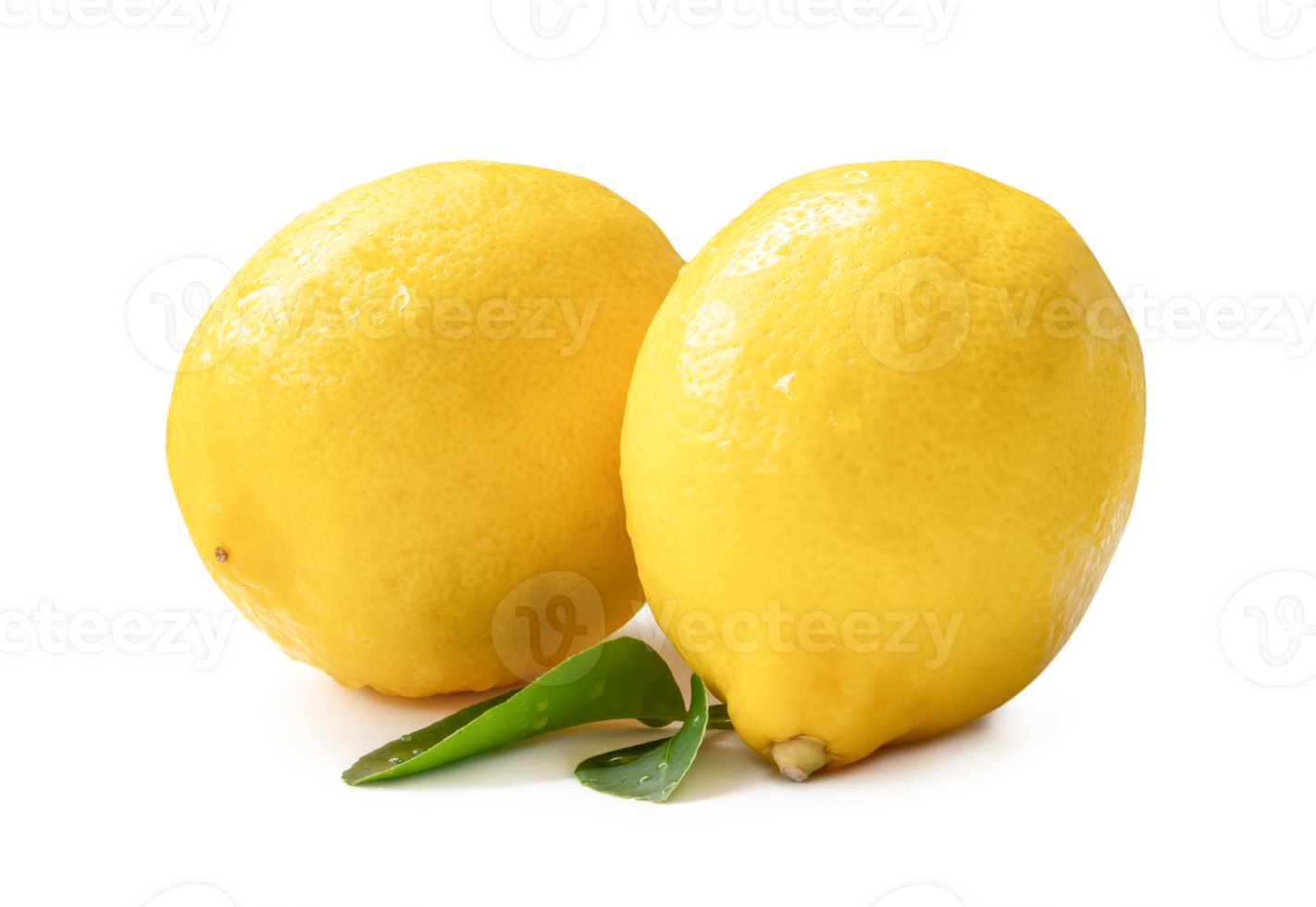 Two whole fresh beautiful yellow lemons with leaves isolated with clipping path and shadow in