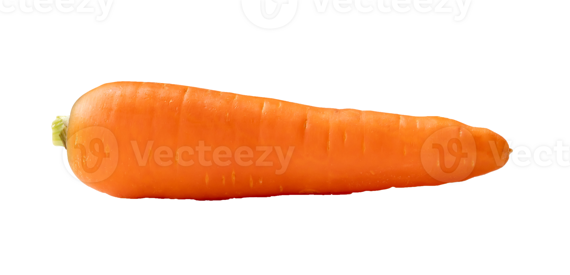 Single fresh orange carrot isolated with clipping path in png file format, Close up of healthy vegetable root