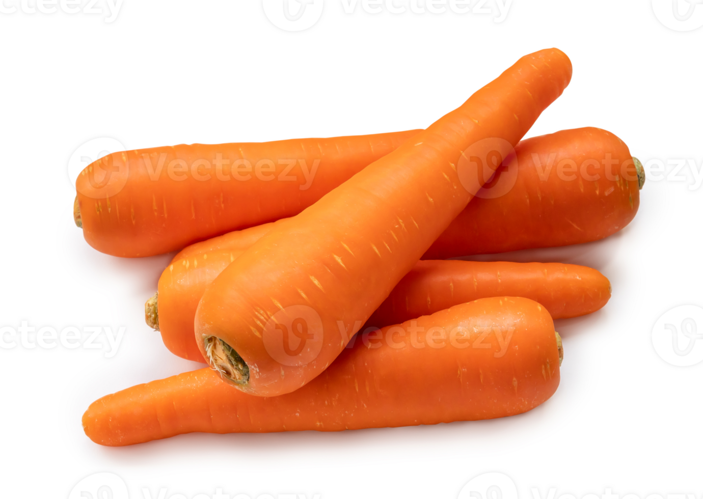 Fresh orange carrots in stack isolated with clipping path and shadow in png file format Close up of healthy vegetable root
