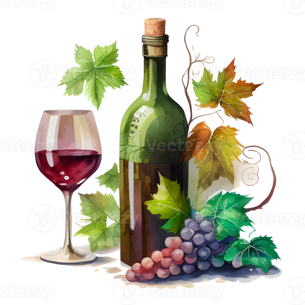 watercolor wine grapes png