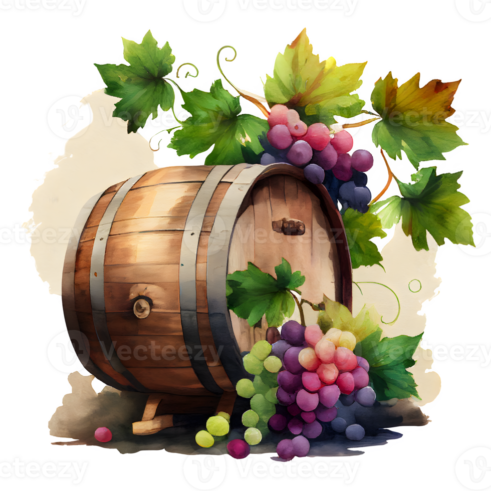 watercolor wine grapes png
