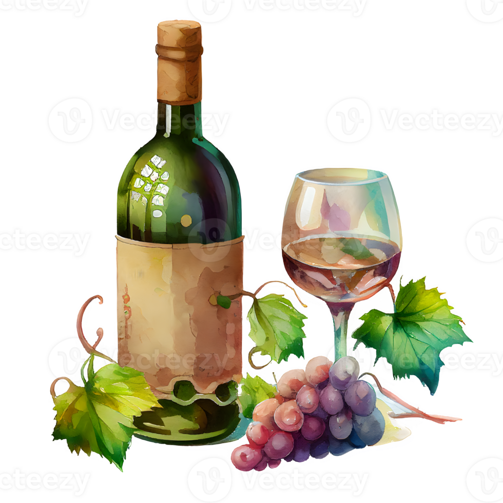 watercolor wine grapes png