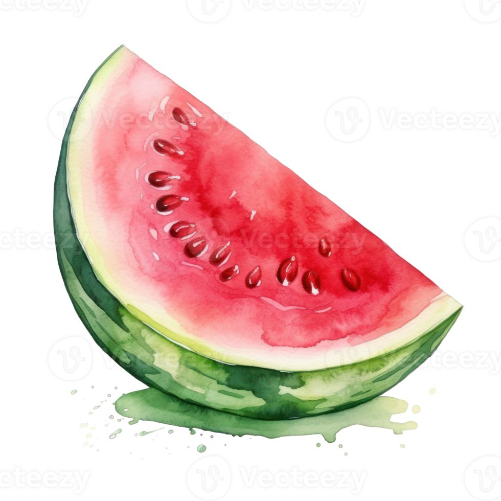 Watercolor watermelon isolated. Illustration png