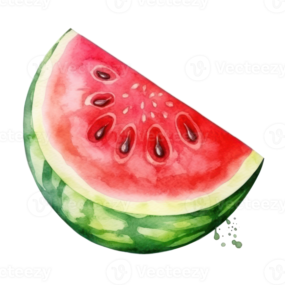 Watercolor watermelon isolated. Illustration png