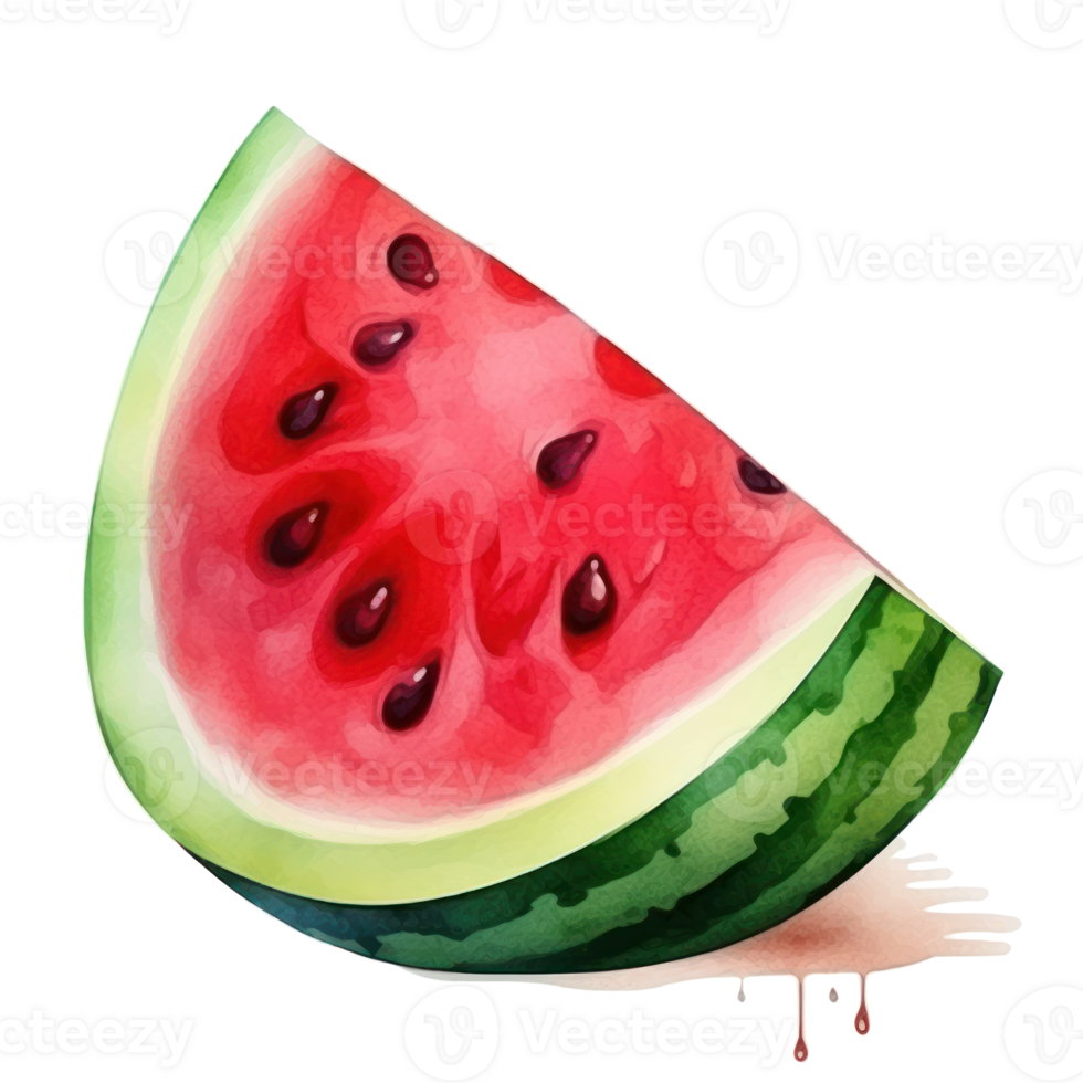 Watercolor watermelon isolated. Illustration png