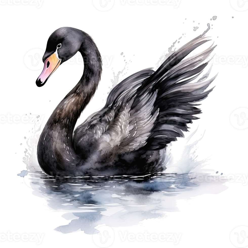 Black swan watercolor. Illustration AI Generative png