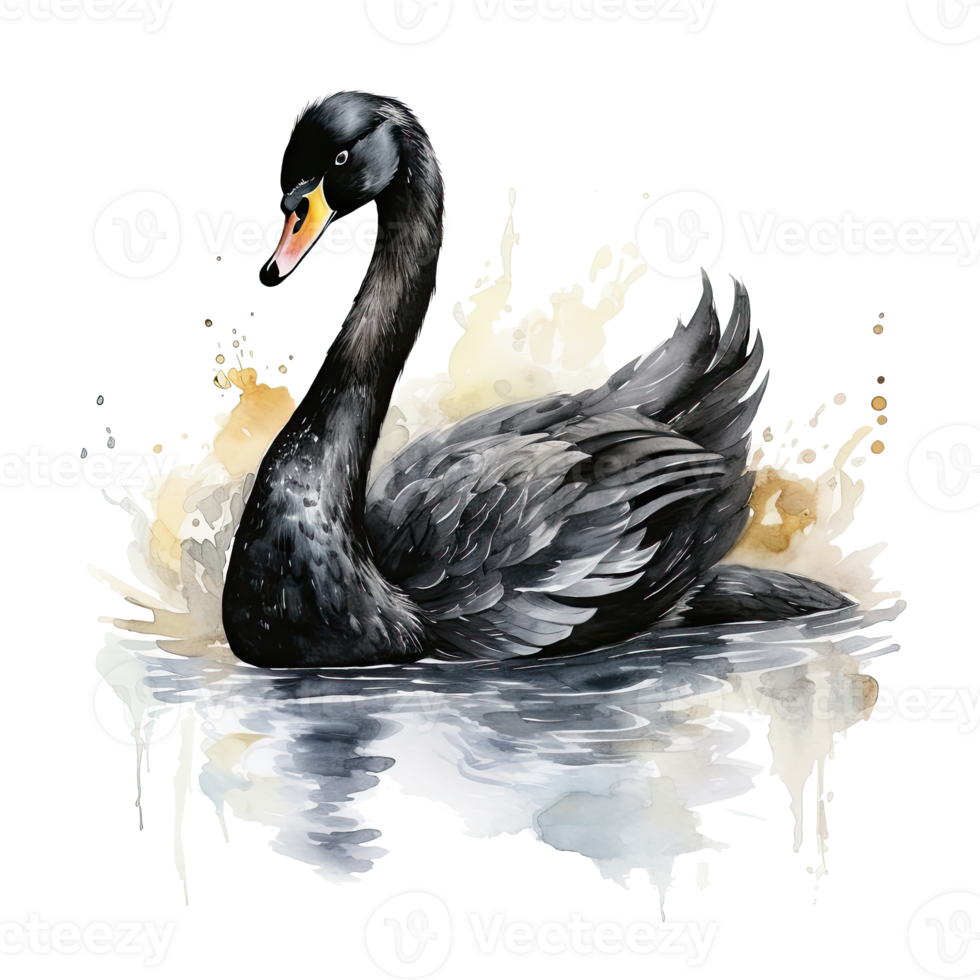 Black swan watercolor. Illustration AI Generative png