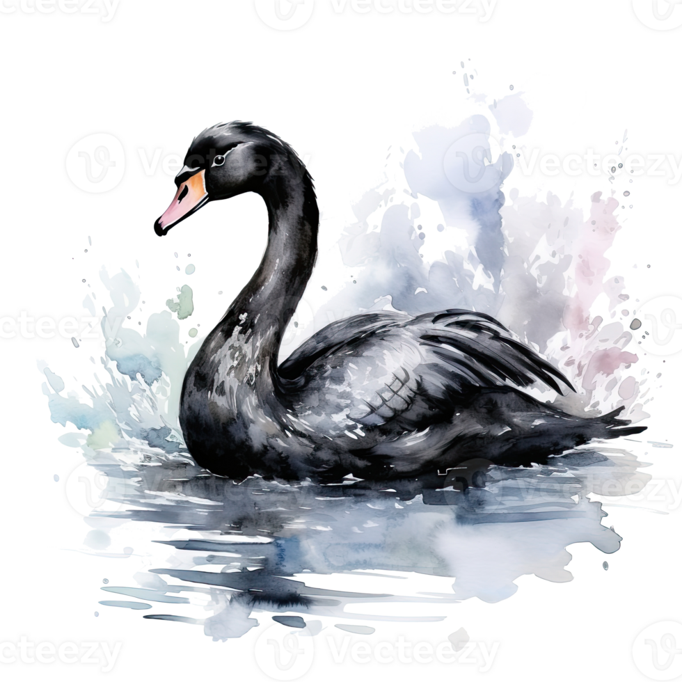 Black swan watercolor. Illustration AI Generative png