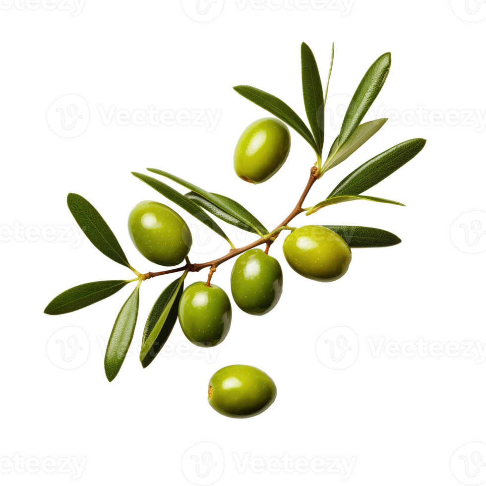 Olive twig with several green olives on it. Illustration AI Generative png