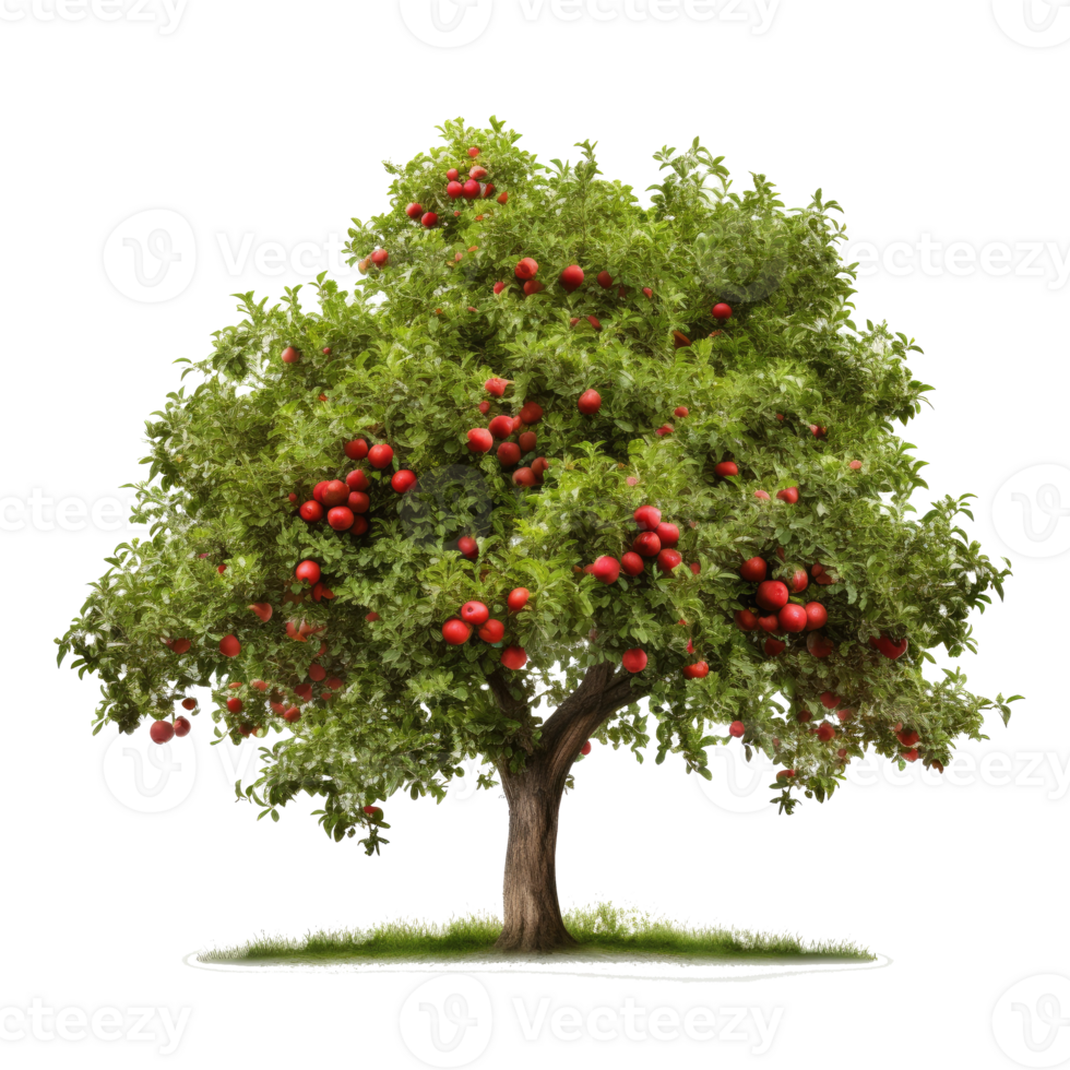 Pomme arbre isolé. illustration ai génératif png