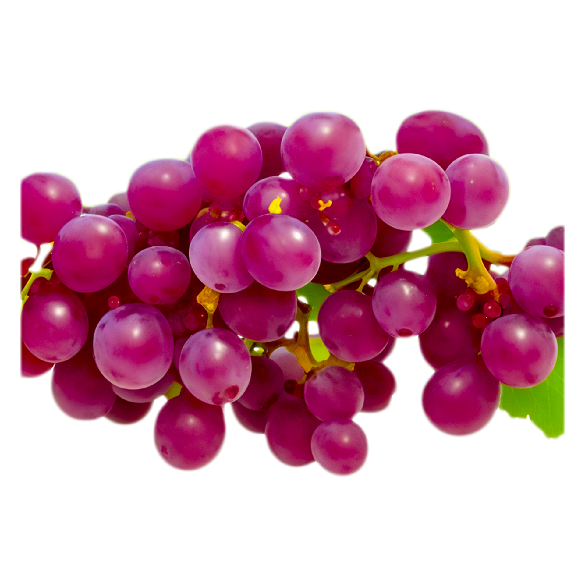 Purple Grape Images 26791666 PNG
