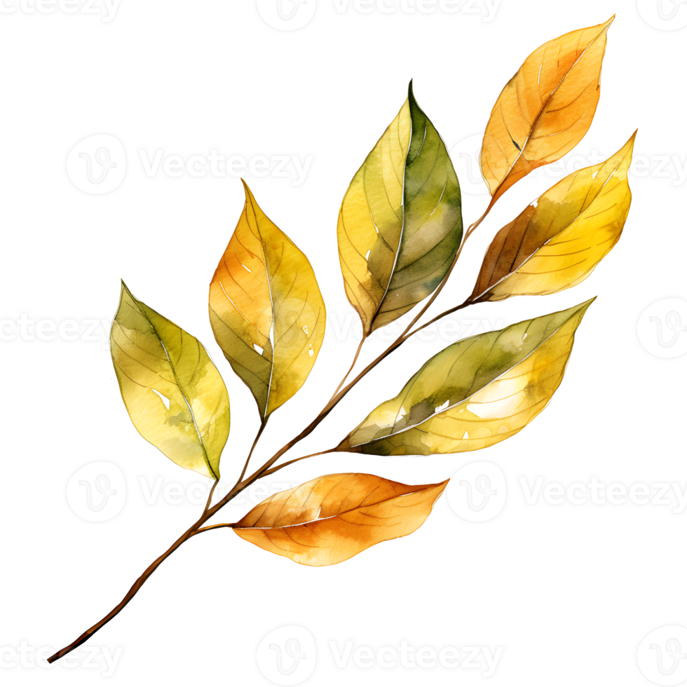 Autumn Willow Leaf png