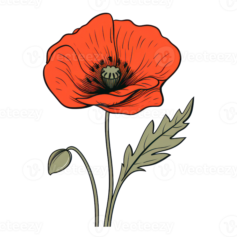 Blooming Poppy Flower AI Generated 26793306 PNG
