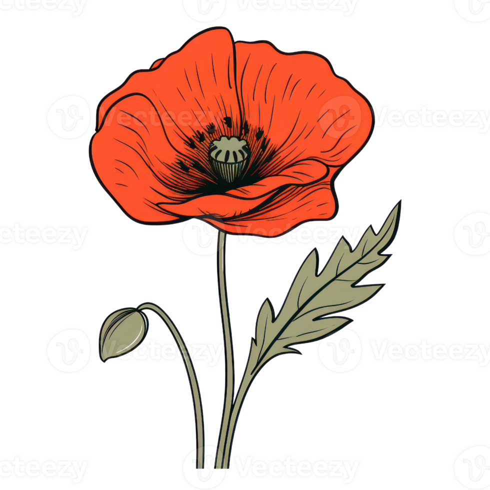 Blooming Poppy Flower AI Generated png