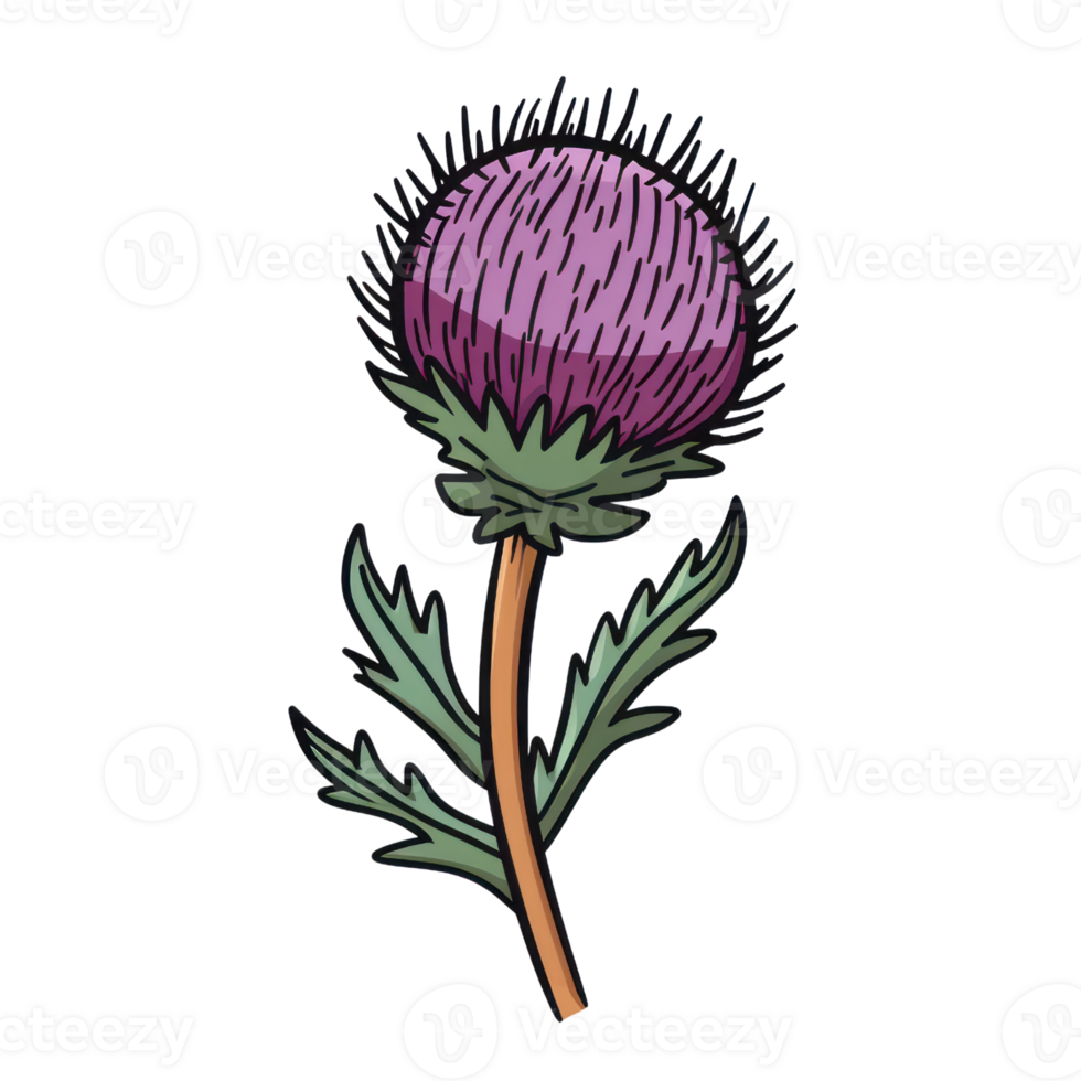 Blooming Thistle Flower AI Generated png